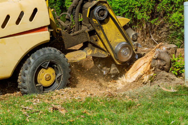 Best Firewood Processing and Delivery  in Hominy, OK